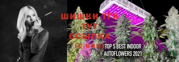 гидра Армянск