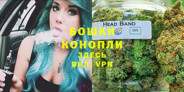 дмт Арсеньев