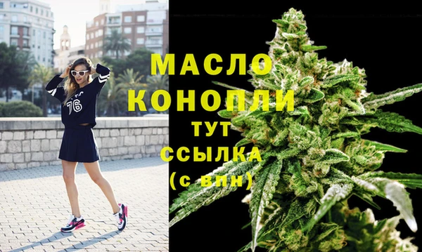 гидра Армянск