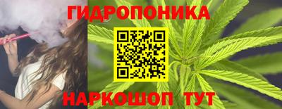 индика Апшеронск