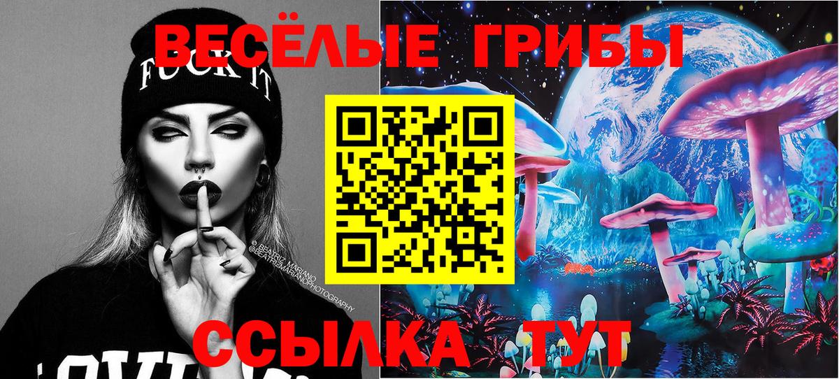 наркота  Белово  Псилоцибиновые грибы Cubensis 