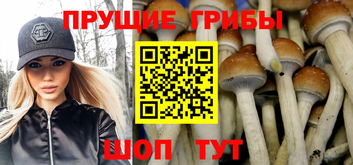 Псилоцибиновые грибы GOLDEN TEACHER Белово