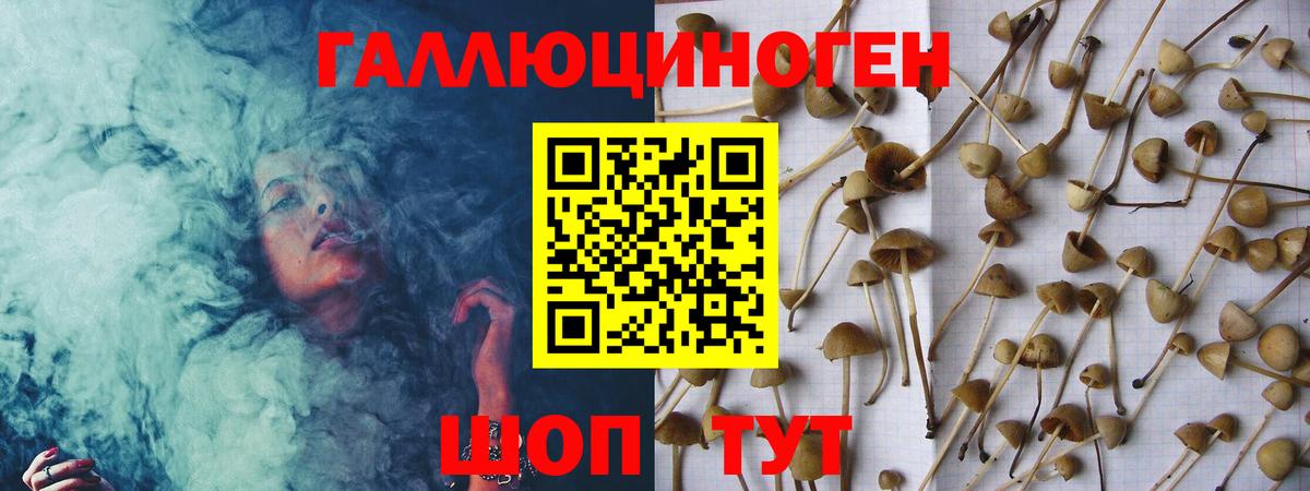 ГАШИШ Белово